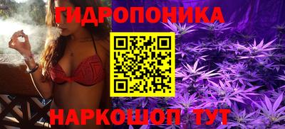 ГАЛЛЮЦИНОГЕННЫЕ ГРИБЫ Кинель