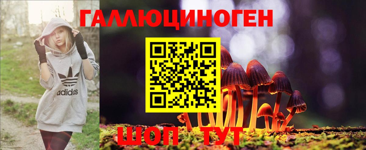 Туапсе  Псилоцибиновые грибы MAGIC MUSHROOMS  Вход с VPN  Галлюциногенные грибы Psilocybe 